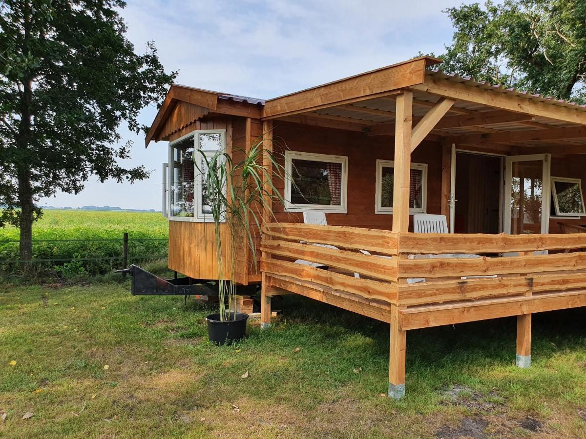 Tiny House Het Reebokje Apartman Vriescheloo Kültér fotó