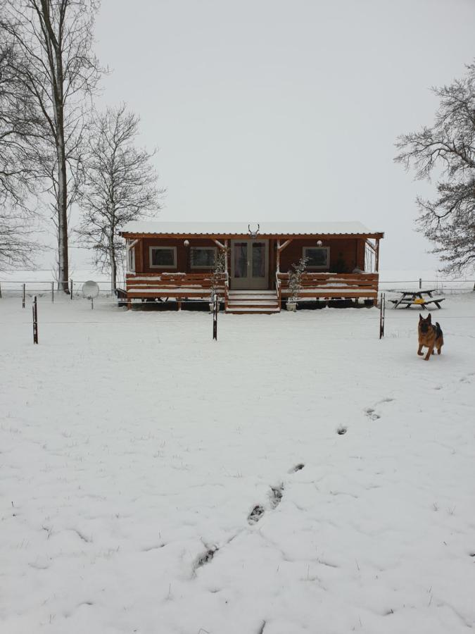 Tiny House Het Reebokje Apartman Vriescheloo Kültér fotó