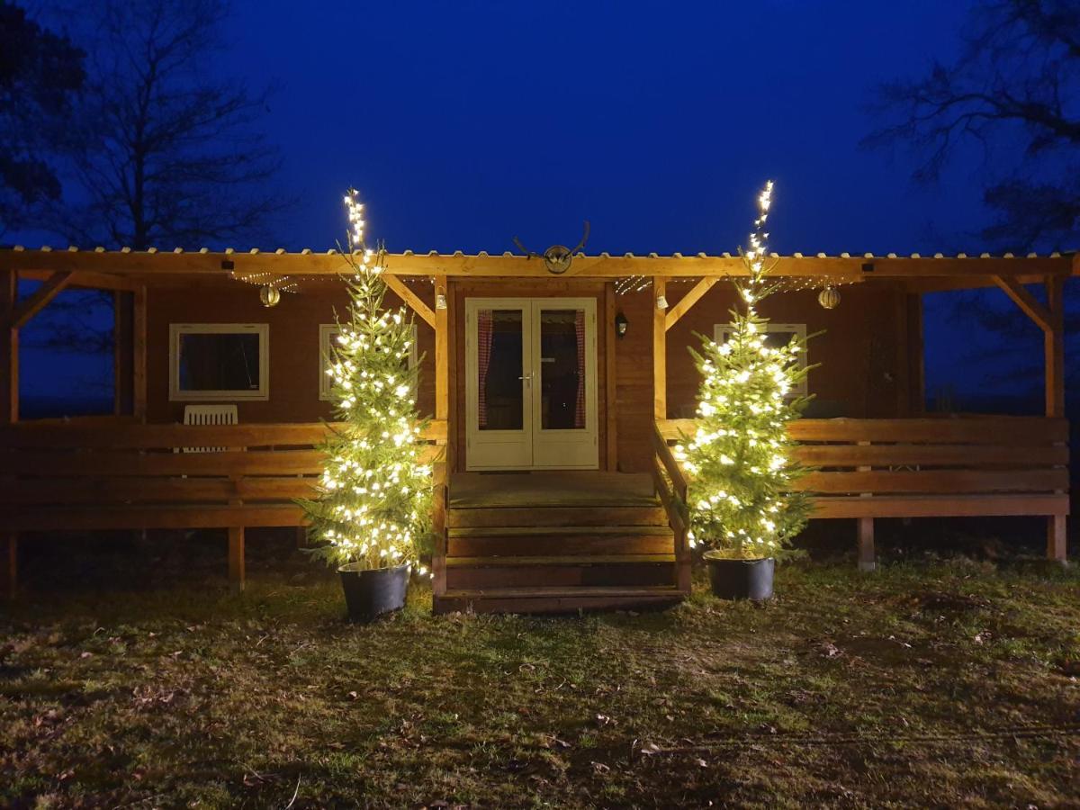 Tiny House Het Reebokje Apartman Vriescheloo Kültér fotó